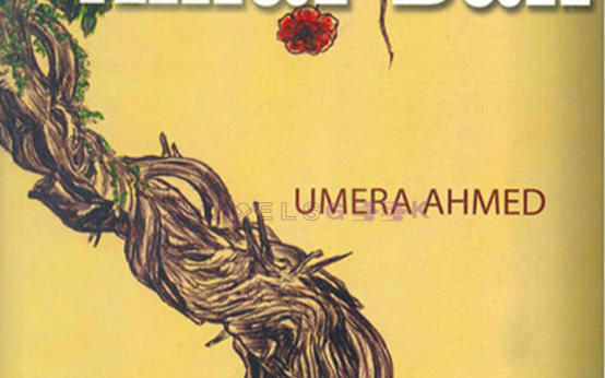 Amar Bail Novel By Umera Ahmed