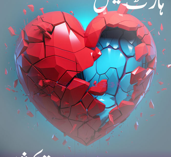 Heartless novel by Areej shah