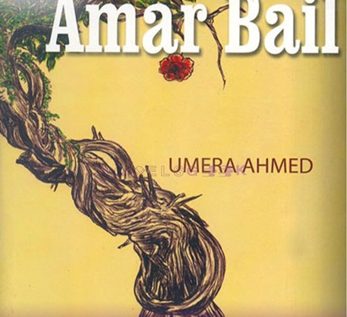 Amar Bail