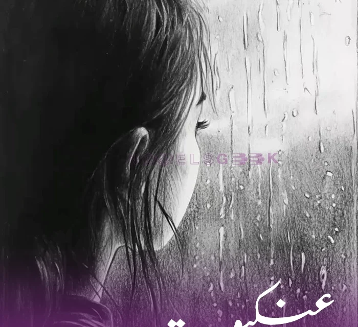 Ankaboot Novel